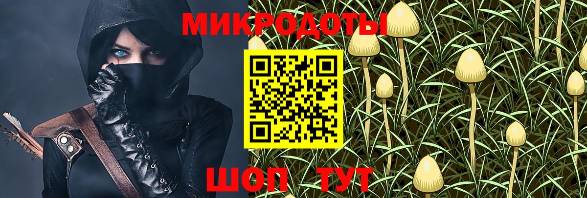 Керчь  Псилоцибиновые грибы MAGIC MUSHROOMS  Вход с VPN 