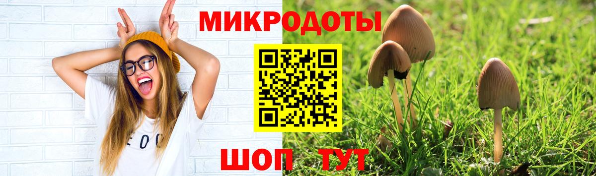Галлюциногенные грибы MAGIC MUSHROOMS Керчь